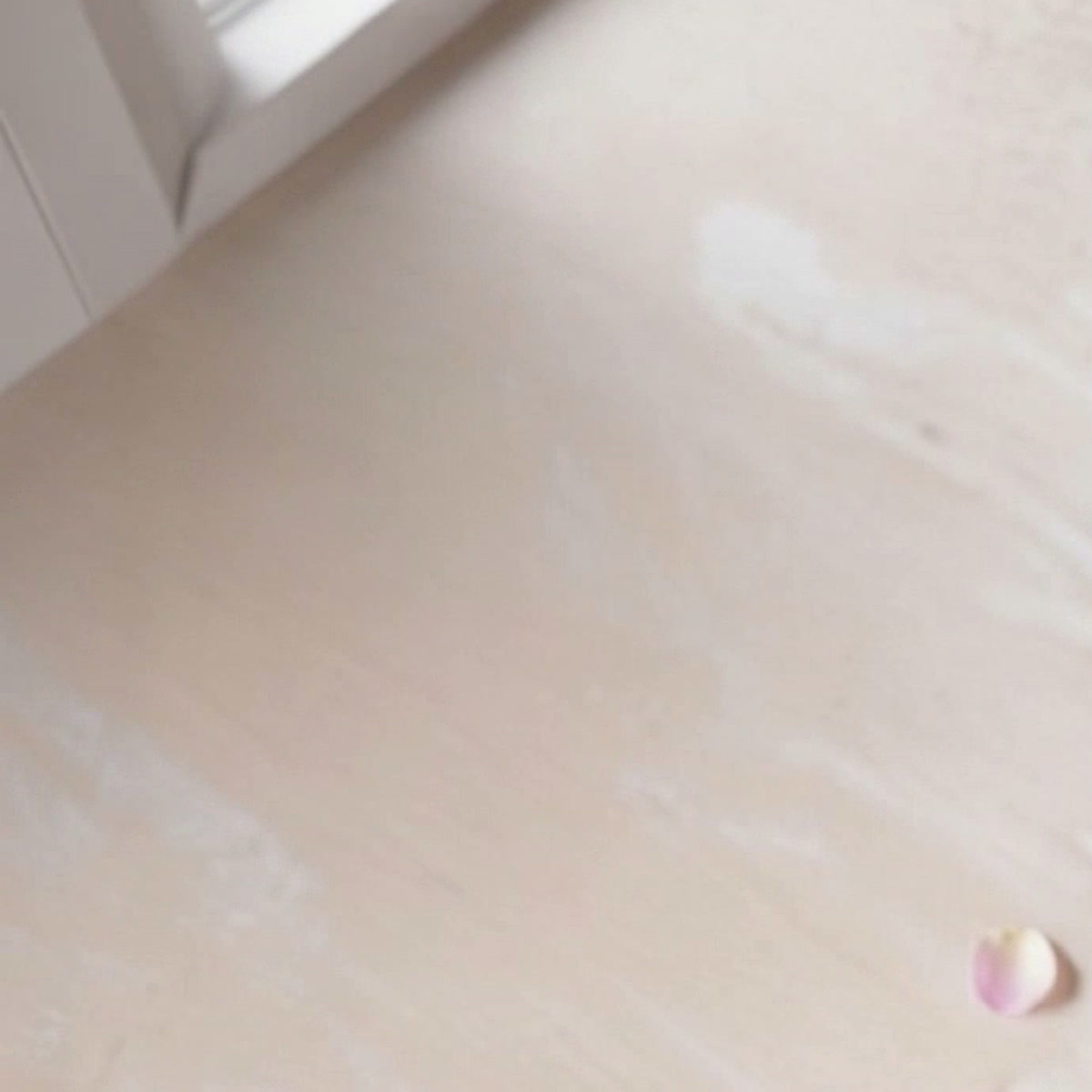 Soft morning light on a cream floor with a single pink rose petal